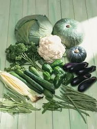 健康人生的時(shí)尚飲食 多圖